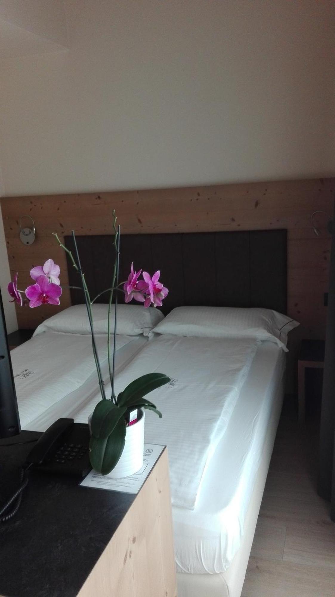 Hotel Silvestri ليفينو الغرفة الصورة